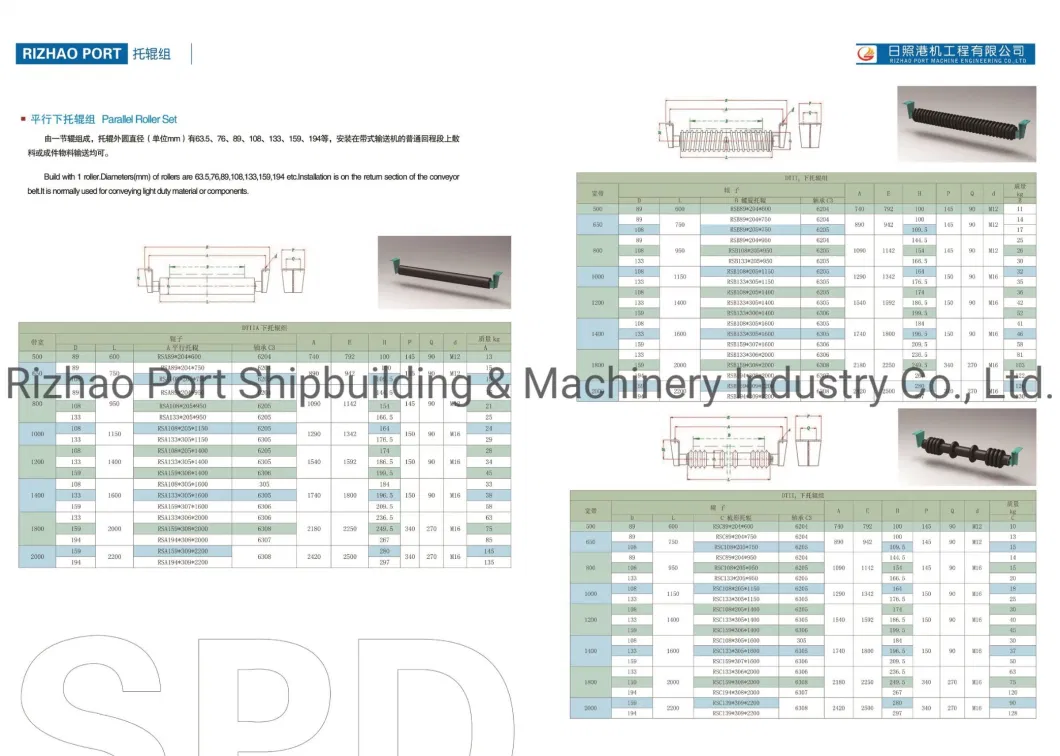 JIS/DIN Standard Conveyor Manufacturer for Grain Transport