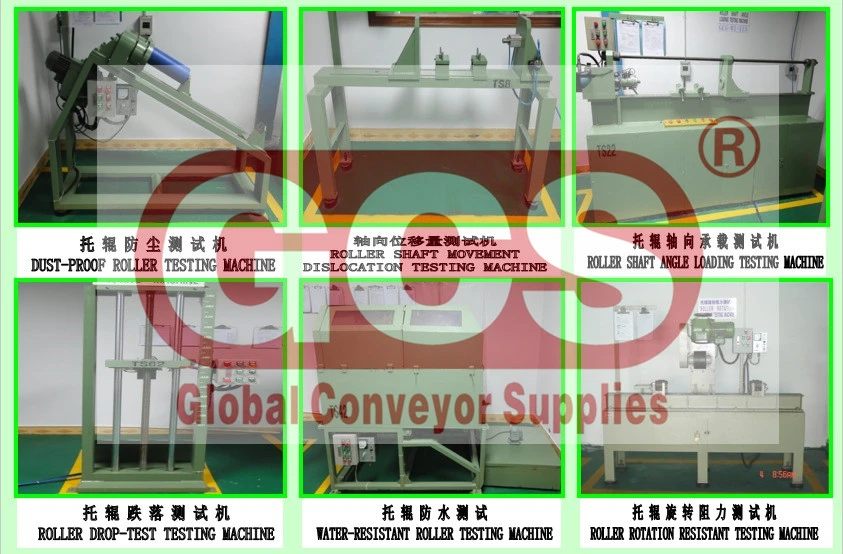 Customized Powered Curve Conveyor System