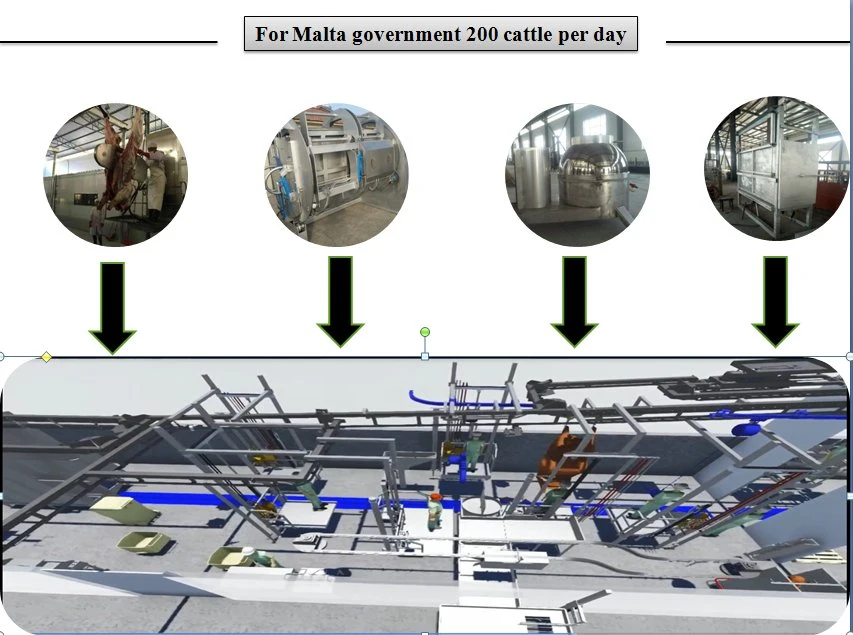 Cattle Bovine Beef/Slaughtering Equipment/Food Machine