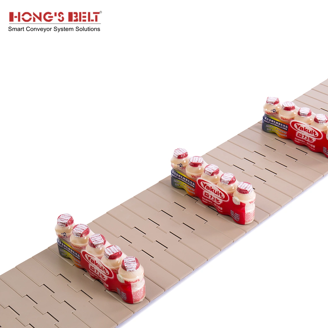 Hongsbelt 821-K1000 Straight Running Chain Flat Top Chain Plasitc Conveyor Chain