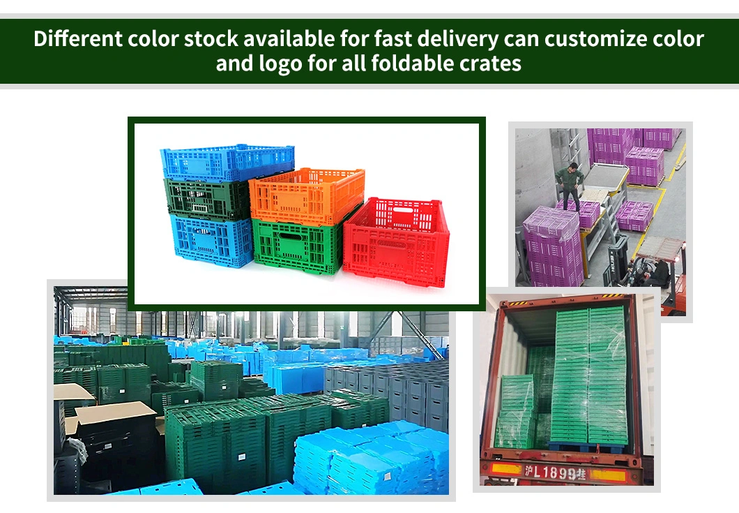 High Quality Tomatoes Onions Garlic Potatoes Turnover Logistic Collapsible Foldable Plastic Fruits Vegetable Crates for Harvesting and Transporting