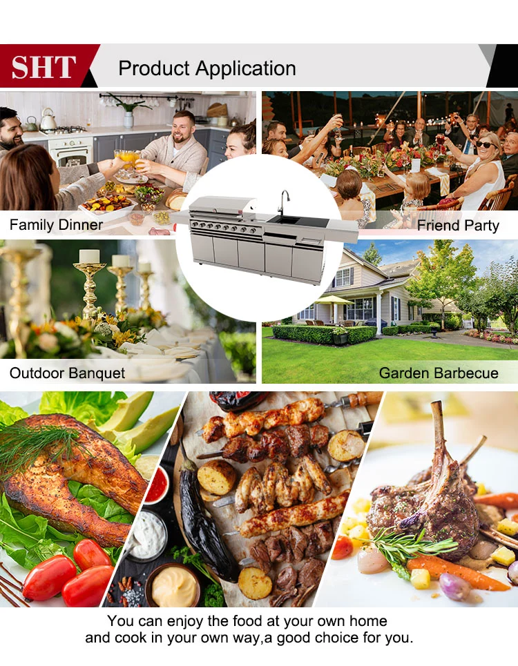 American Open Kitchen Cabinet Barbeque Gas Grill for Home