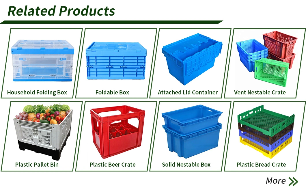 High Quality Tomatoes Onions Garlic Potatoes Turnover Logistic Collapsible Foldable Plastic Fruits Vegetable Crates for Harvesting and Transporting