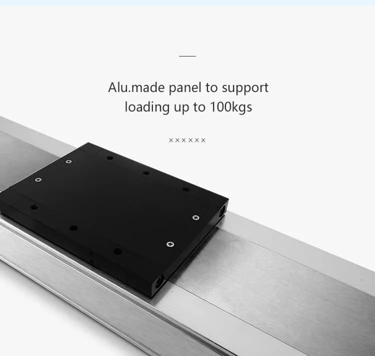 Electrial Linear Rail Guide with Stepper Motor Exposed Left Right Bottom Side