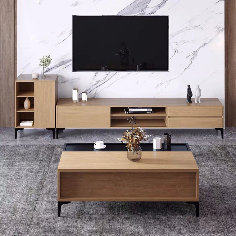 Nordic Simple Design Modern Creative Ins Wind Apartment Small Size Coffee Table TV Stand Set in Living Room