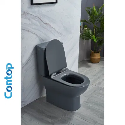 Estándar australiano marca un estilo moderno de alta calidad cerámica Inodoro (Wc Inodoro