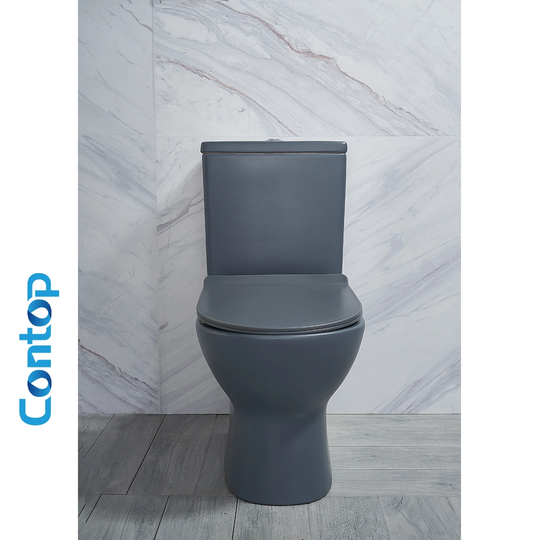 Australian Standard Watermark High Quality Modern Style Toilet Bowl Ceramic Toilet Water Closet