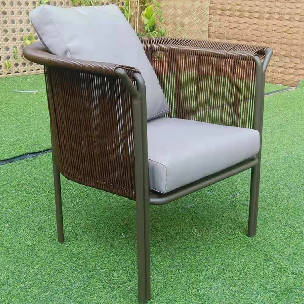 Modern Elegant Plastic Rattan for Apartment and Living Room Furniture Lounge Chair