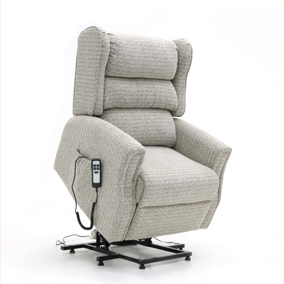 Geeksofa Heavy Duty Power Lift Riser Recliner Armchair