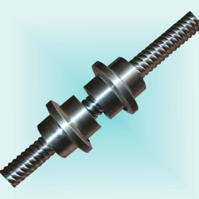 Machine Tools Worm Milling Thread Turning Lathe Machine for Screws
