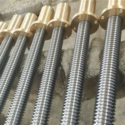 Machine Tools Worm Milling Thread Turning Lathe Machine for Screws