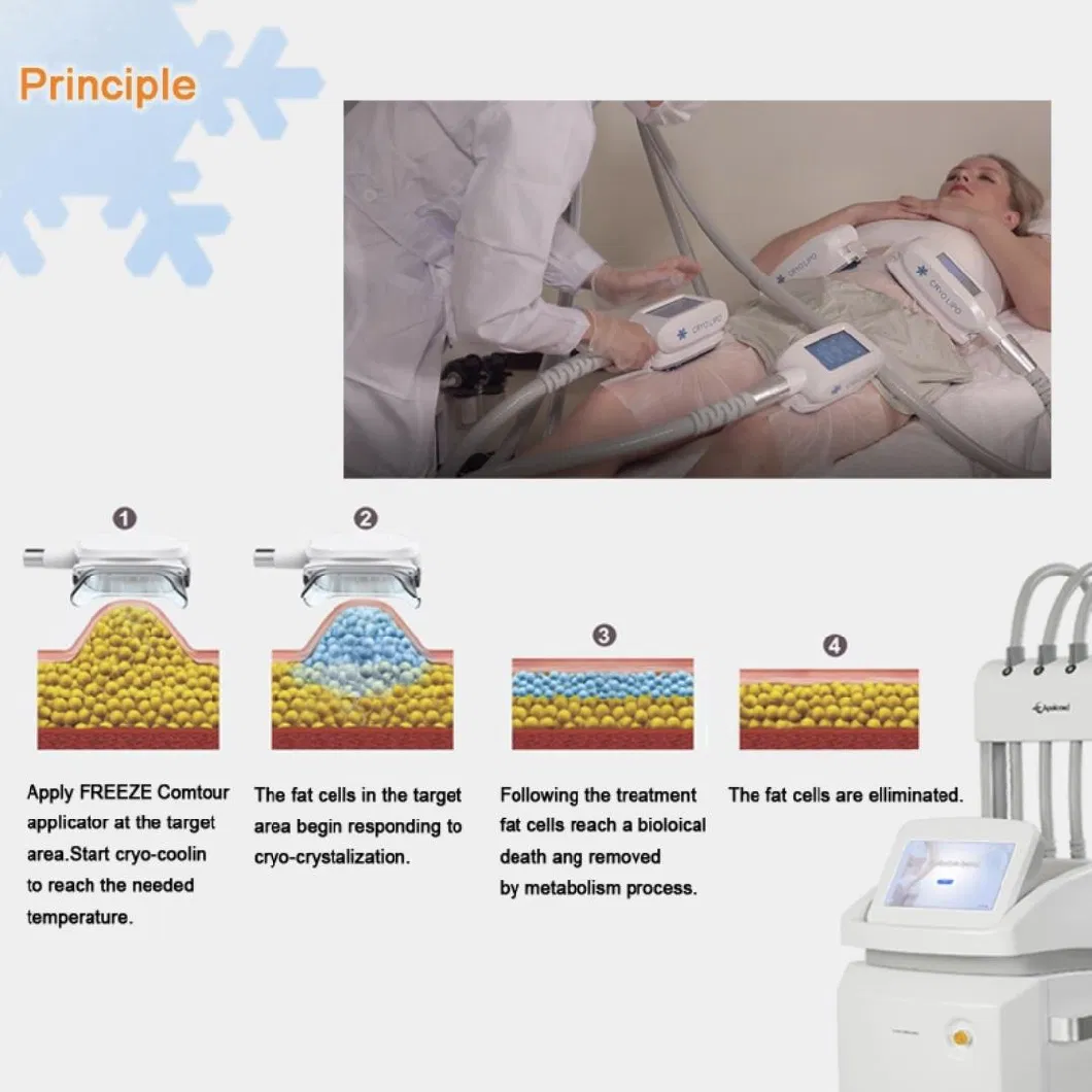 1~5 Levels (-0.1MP~0MP) Suction Level Air &amp; Tec System Cryolipolysis Skin Cooling Device