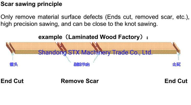 Wood Optimizing Cross Cut Saw Machine for Fj Board Touch Sceen