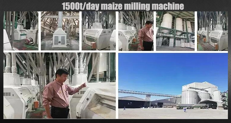 2023 Kenya Running Corn Meal Production Line Plant