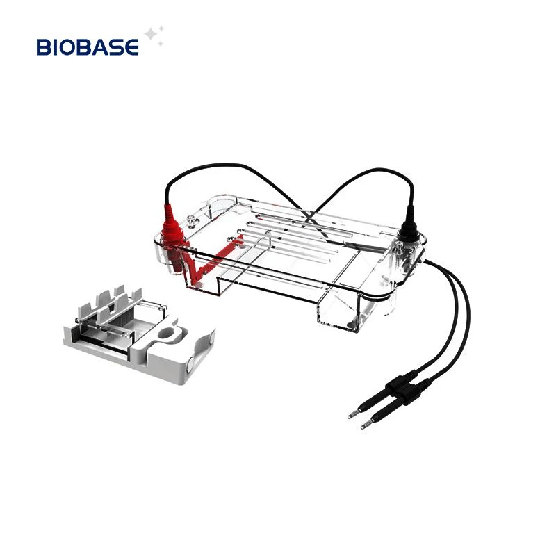 Biobase Higher Precision Digital PCR Test Machine Thermal Cycler