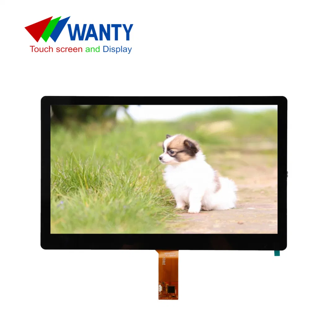 Factory Provided Custom OEM ODM 15.6 Inch USB Glass+Glass Multi-Point PCAP Touch Screen TFT LCD Display Monitor Projected Capacitive Touch Panel Touch Screen