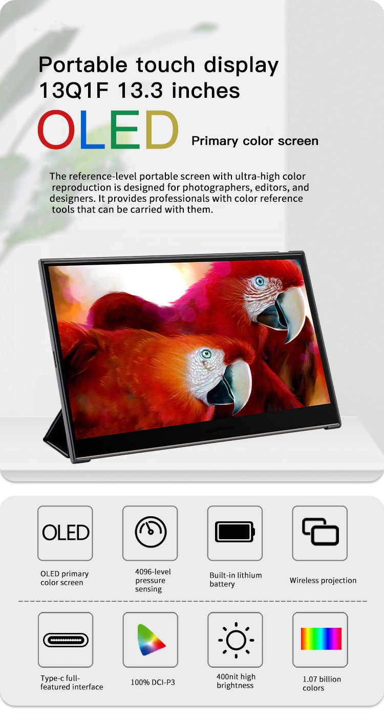 High Quality 13.3 Inch 1920*1080 Flat 60Hz TFT Panel Touch Screen Portable OLED Monitor