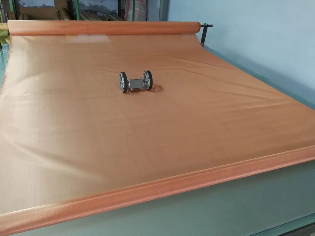 Paper Making Phosphor Bronze Metal Wire Mesh Screen for Filtering Netting