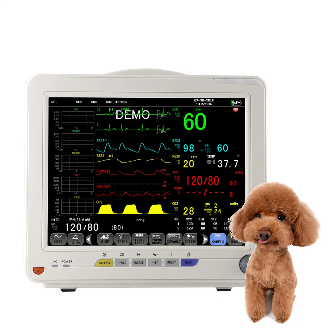 Multi Parameter Veterinary / Patient Monitor with 12.1 Inch Large Touch Screen Mslmp57