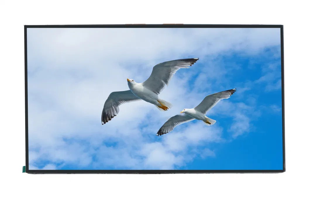 32 43 49 55 65-Inch Infrared Touch Integrated Advertising Screen Conference Screen