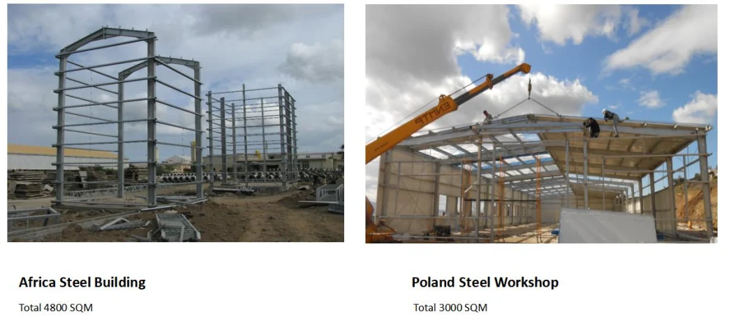 Prefabricated Steel Cattle House Steel Building Warehouse Workshop Steel Structure