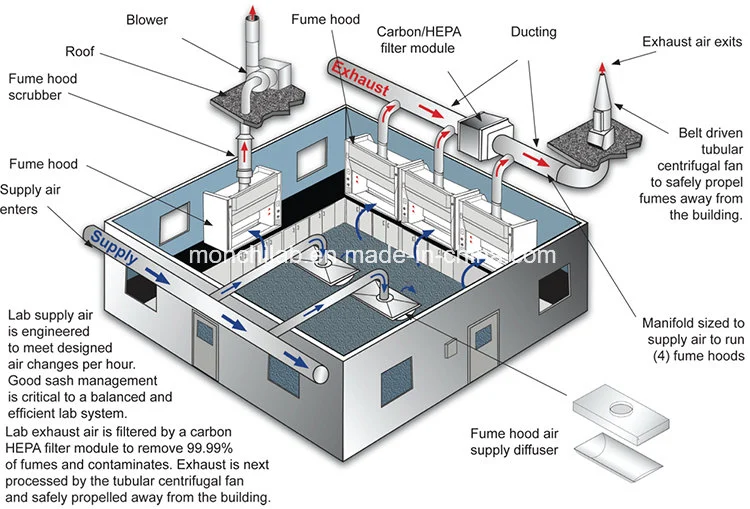 Physical Lab Furniture Lab Equipment Fume Hood