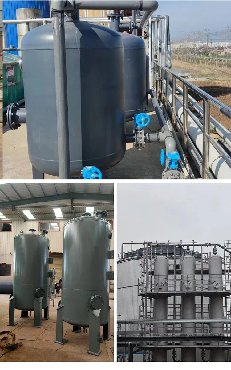 Biogas H2s Removal Tank for Desulfurization in Biogas Plant