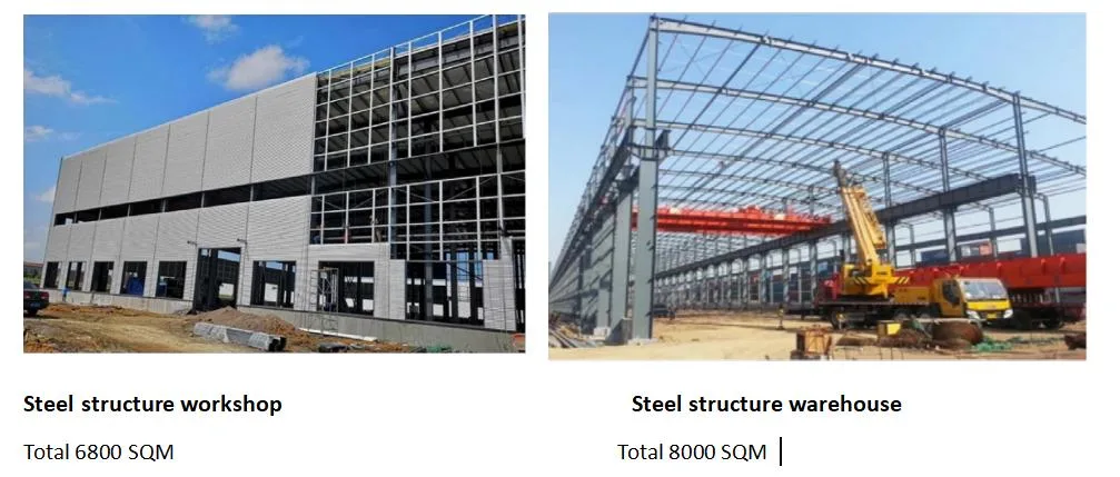 Prefabricated Steel Cattle House Steel Building Warehouse Workshop Steel Structure