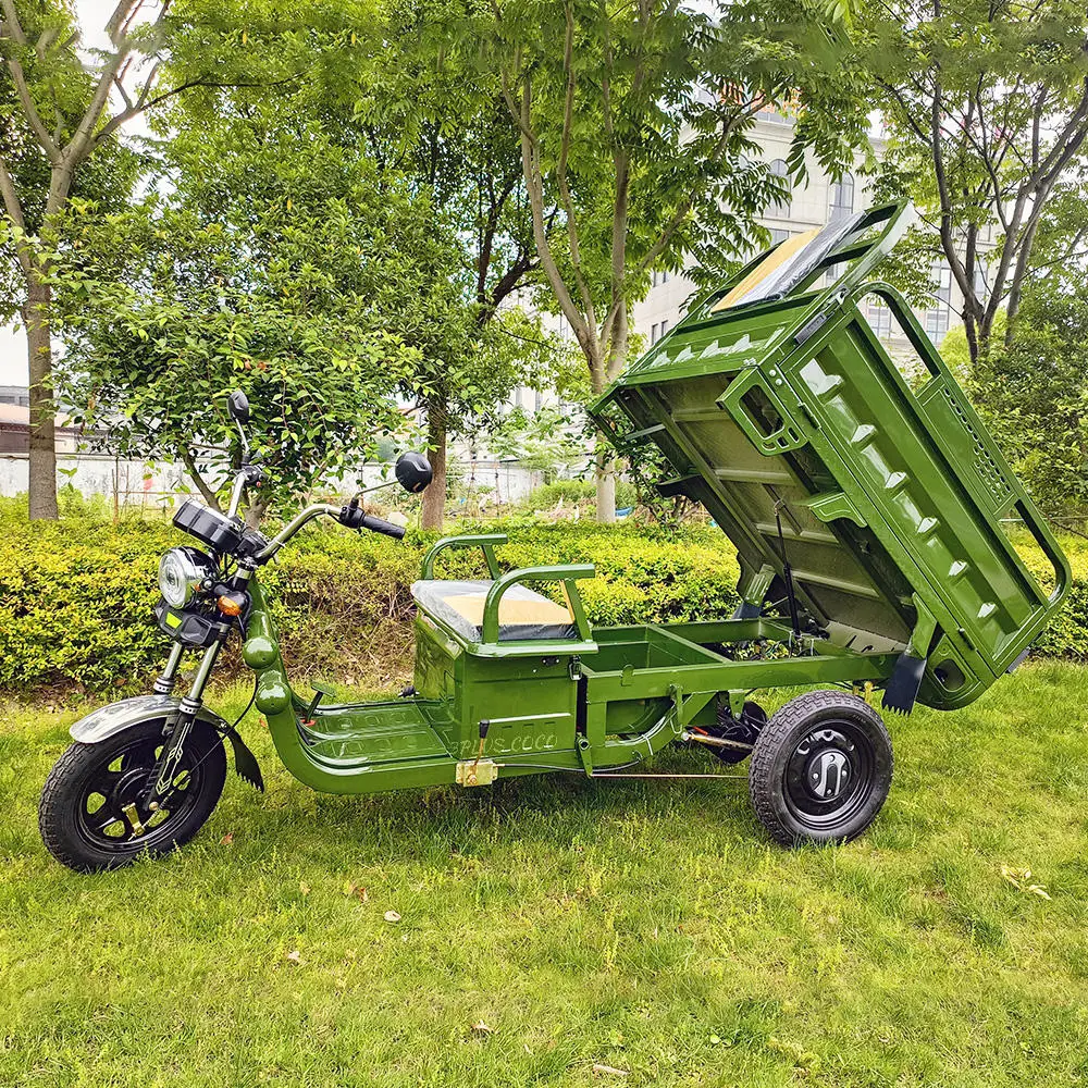 Gasoline Tricycle Cargo Tricycle Three Wheels Motorcycle
