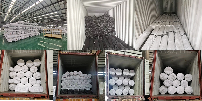 0.3mm/0.8mm/1.2mm/1.5mm/2mm Vannamei Shrimp Catfish Farm HDPE Geomembrane Dam Liner in Chile/Peru/Dominica/Nicaragua/Cambodia