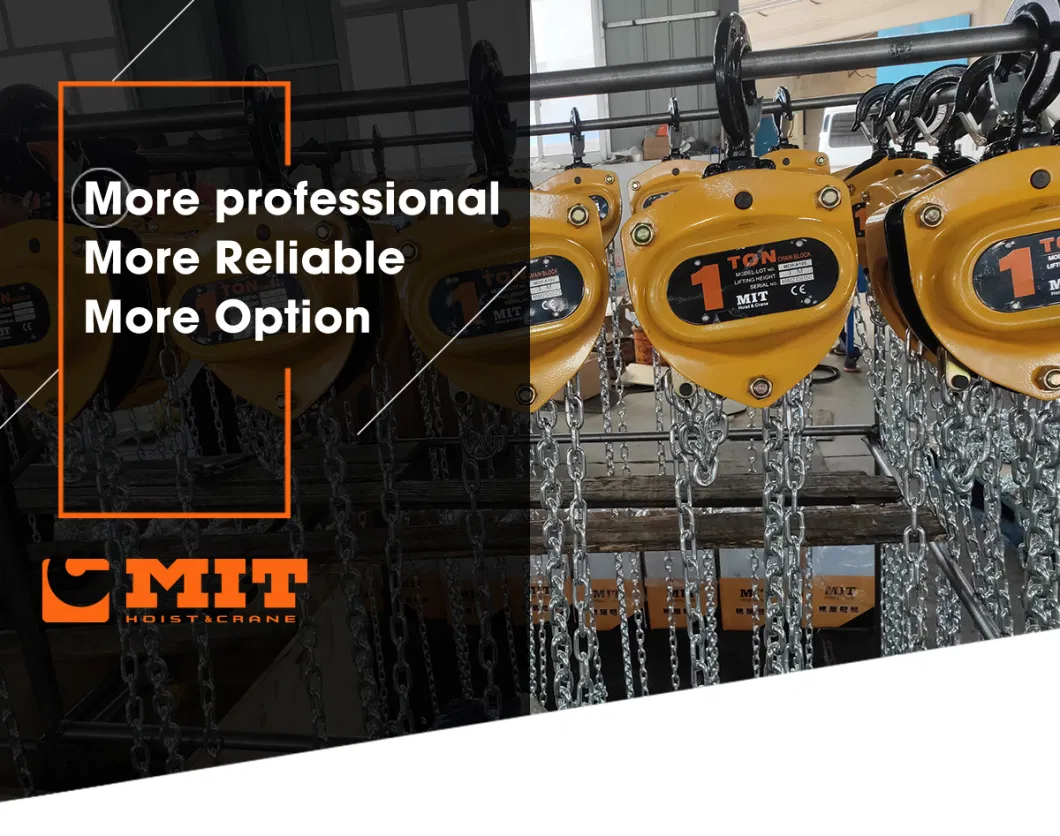 Manual Chain Hoist Manufacturer Lifting System