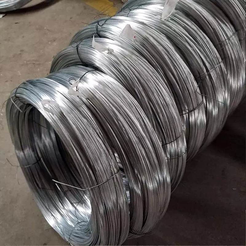 5.5mm Spring Wire SAE1008b SAE1006 S45c 10# 1010 Q235 Q195 77b 82b Swrm Stkm11A Low Carbon Steel Wire Hot Dipped Galvanized Metal Nail Wire Bar Rod in Coils