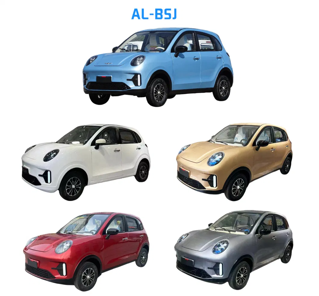 Cheap Price 4 Seater Electric Mini Car for Adult Teenager Use