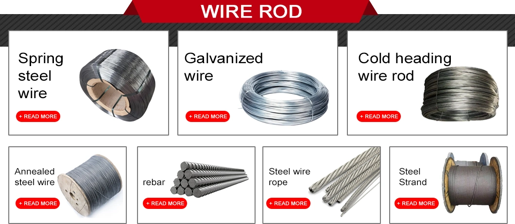 SAE1006 SAE1008 SAE1010 SAE4037 5mm 6mm Low Carbon Cold Heading Wire Rod