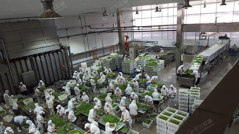 Can Veget Process Line Pickling Olive Pickle Production Line Pickle Bottle Packing Machine