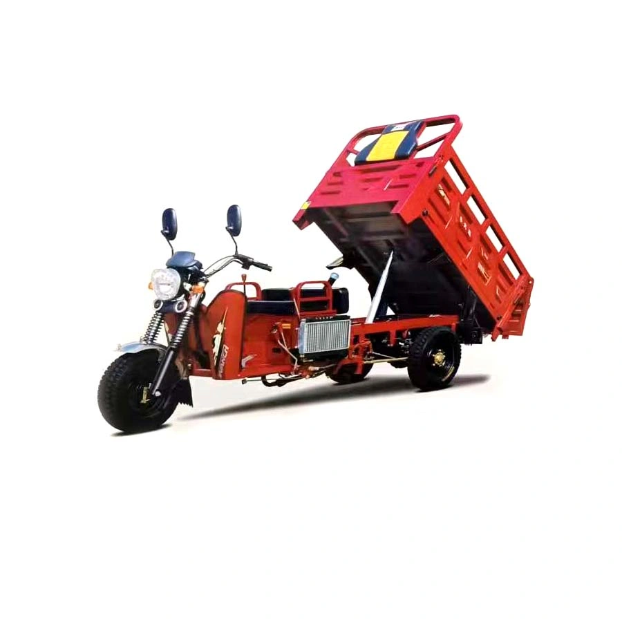 Gasoline Tricycle Cargo Tricycle Three Wheels Motorcycle