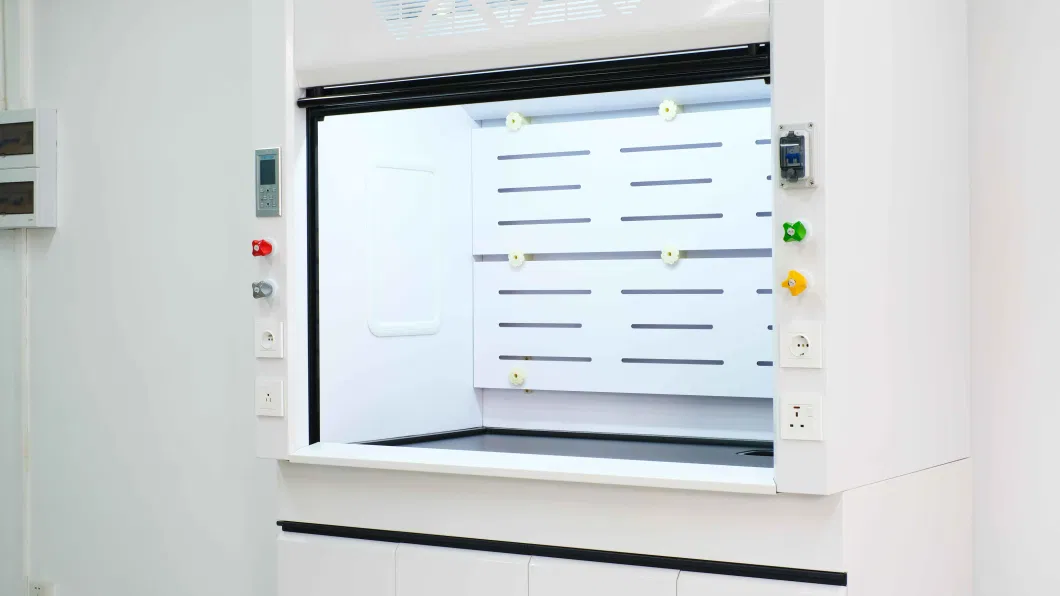 Hot Sell Chemical Steel Fume Hood with Sink and Gas