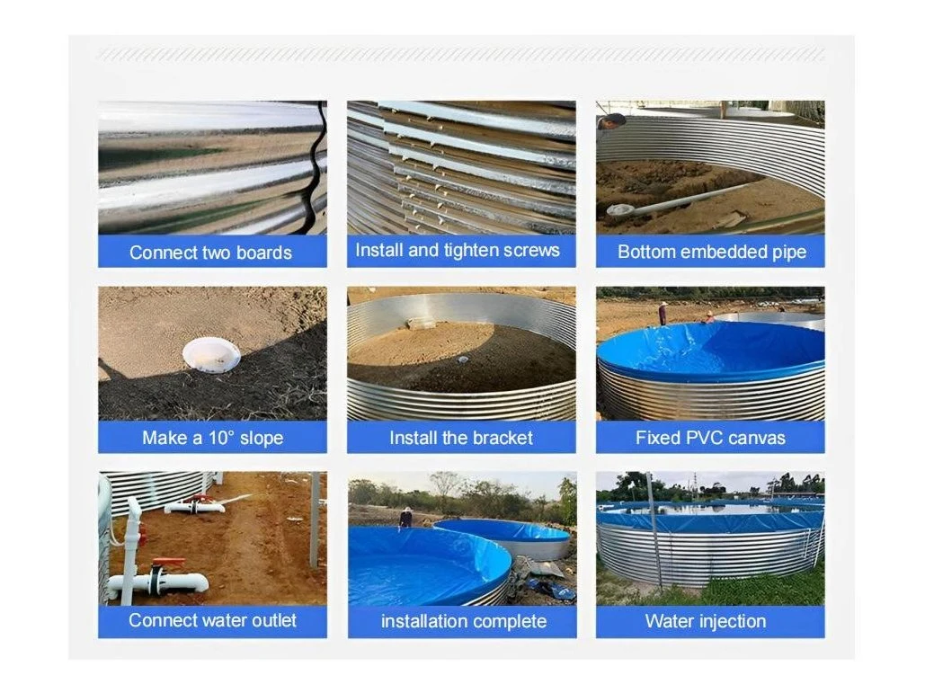 Wholesale Recirculating Aquaculture System Tanks Tilapia Fish Farming