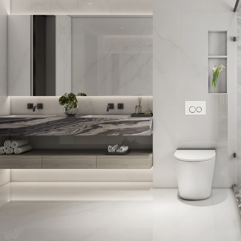 Bathroom Luxury Floor Mounted Concealed Cistern Back to Wall Concealed Tank for Floor Toilet