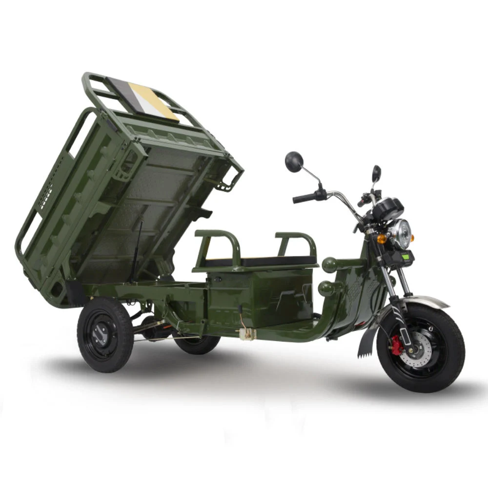 Gasoline Tricycle Cargo Tricycle Three Wheels Motorcycle