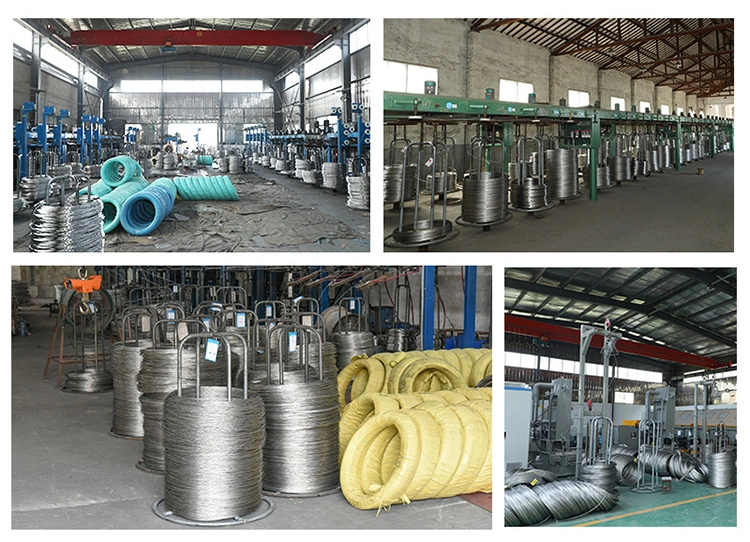 Soft State/Hard State ASTM AISI JIS 201 202 2205 304 316L 310S 410 430 Stainless Steel Wire/Stainless Wire Rope