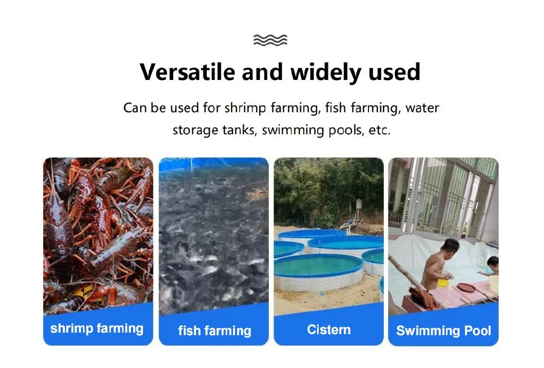 Wholesale Recirculating Aquaculture System Tanks Tilapia Fish Farming