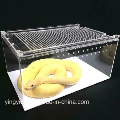  Nuevo Discillador acrílico personalizado Terrarium Gecko Lizard Snake Spider Vivarum Tanque de jaula