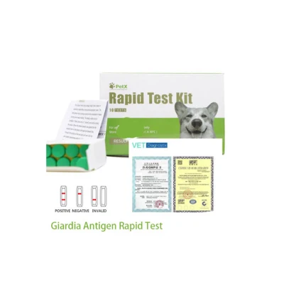 Giardia Antigen Rapid Test Giardia AG Canine Giardia tratamiento