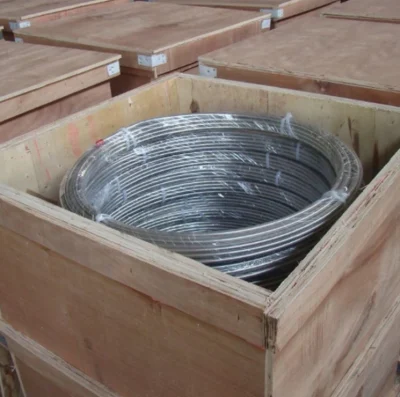  Buen precio SAE1008b Dubai Alambrón de acero de 5,5 mm en bobinas