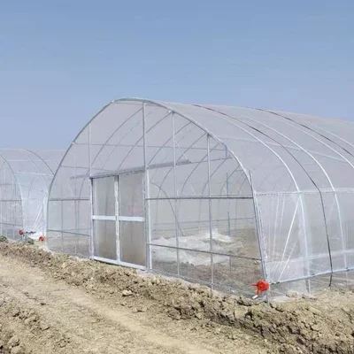 Túnel de Cine de tipo Arco de una sola columna Greenhouse con Agricultura Hidroponica para Rosa/Tulipán/Tomato/Flor