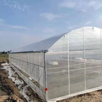 China Multi-Span túnel/Arch tipo PE/Po Film agrícola plástico/ Eco comercial invernaderos hidropónicos sistemas de cultivo de fresas de pepino