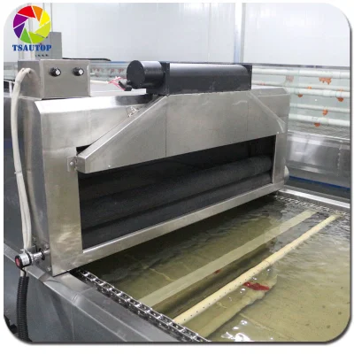 Certificación Tsautop 1.2X0.7X0.9m Hydro Equipos de inmersión de la transferencia de agua del depósito de impresión