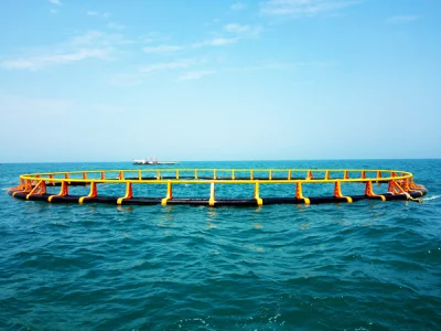  El cultivo de peces de acuicultura de la jaula de Tilapia flotantes de tanques de la acuicultura Piscicultura