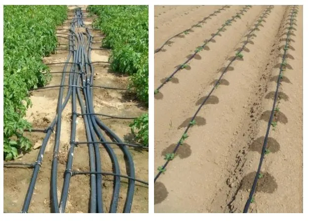 Irrigation Solenoid Control Valves
